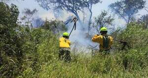 Diario HOY | Incendios en zona Ecovía: identifican y arrestan a los responsables