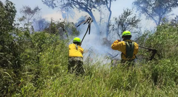 Identifican y capturan a responsables de incendios en la zona de Ecovía