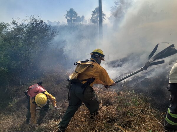 Arrestan a quienes produjeron los incendios en zona de la Ecovía Luque-San Bernardino - ADN Digital