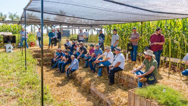 IASA realizó con éxito la sexta edición del Día de Campo de Soja y Maíz en Mbaracayú