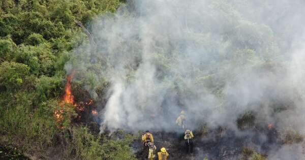 Diario HOY | Focos de calor superan el promedio histórico: con más de 14 mil hectáreas afectadas
