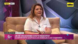 ¿Ir de vacaciones con tu mascota?: estos consejos te pueden ayudar - Ensiestados - ABC Color