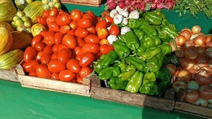 Tomate y locote experimentan nueva suba en los precios en Concepción
