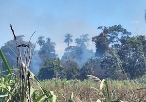 Esperan que Fiscalía intervenga ante quema irregular en reserva administrada por la Senabico - ADN Digital