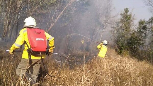 Ñeembucú y Paraguarí, los más afectados con incendios forestales