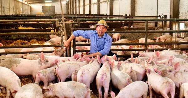 La Nación / Productores instan a no someterse a la especulación de precios