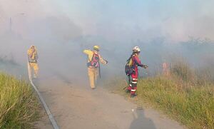 Incendios forestales no dan tregua
