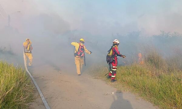 Incendios forestales no dan tregua