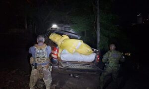 Incautaron en Brasil carga de marihuana en capullo que fue llevada de Paraguay – Diario TNPRESS