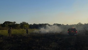 Declaran emergencia nacional por incendios forestales - ADN Digital