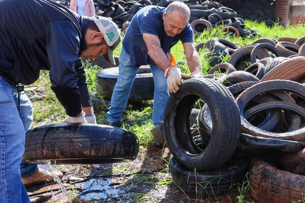 En barrio Republicano inactivaron más de 3.000 criaderos del Aedes aegypti - .::Agencia IP::.