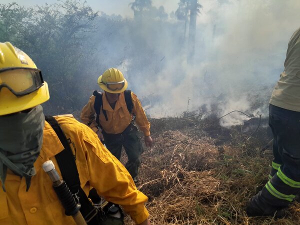 Crecen los incendios en Paraguay: mayoría provocados por humanos - ADN Digital