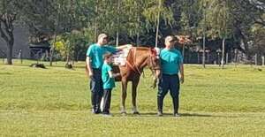 Pilar, pionera en equinoterapia para niños con autismo y otras condiciones - Nacionales - ABC Color