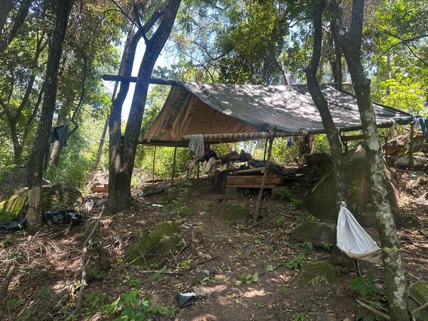 Destruyen 21 toneladas de droga destinadas a favelas brasileñas - 1000 Noticias