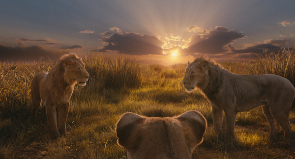 "Mufasa: El Rey León": ¡Así cobraron vida los fascinantes paisajes de la peli! - trece