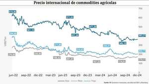 Dinámica de los precios internacionales de los commodities agrícolas - Economía - ABC Color
