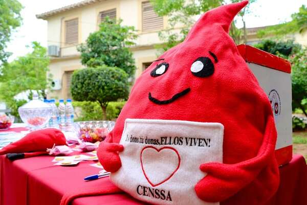 Censsa anima a donar sangre y así salvar vidas este verano - Nacionales - ABC Color