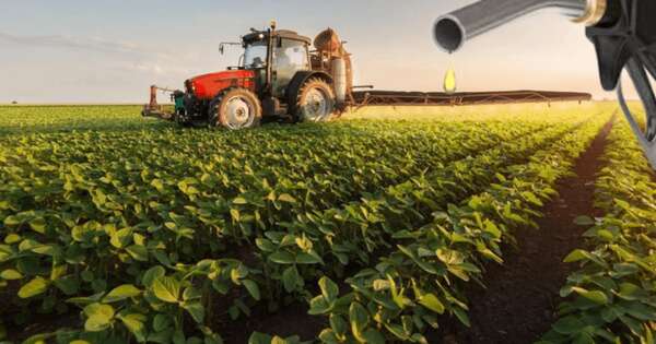 La Nación / Sector biocombustible en pleno crecimiento y buen desempeño