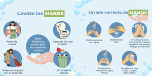 EL LAVADO DE MANOS FRECUENTE PREVIENE CUADROS GASTROINTESTINALES - Itapúa Noticias