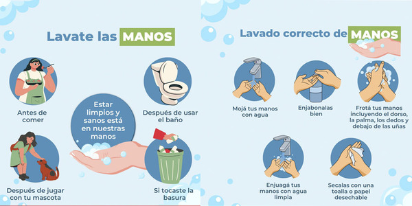 EL LAVADO DE MANOS FRECUENTE PREVIENE CUADROS GASTROINTESTINALES - Itapúa Noticias
