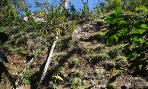 El Cerro Muralla en Cerro Corá