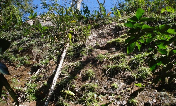 El Cerro Muralla en Cerro Corá