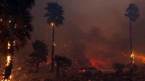 Trump tildó de "incompetentes" a políticos a cargo de incendios en Los Ángeles - 1000 Noticias