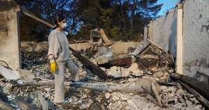 La Nación / “Purgatorio”, el vino que quedó tras la destrucción en Los Ángeles