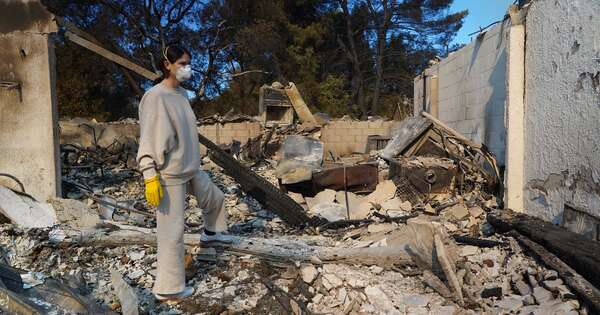 La Nación / “Purgatorio”, el vino que quedó tras la destrucción en Los Ángeles