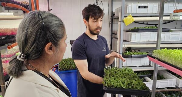 Empresas se suman a la transición hacia una economía más sostenible