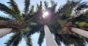 Diario HOY | Otra semana con promedio de 38°C de máximas