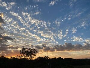Lunes caluroso con cielo parcialmente despejado