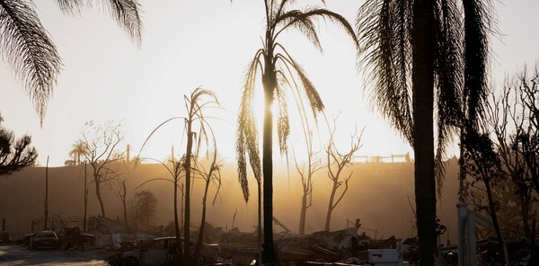 Incendios en Los Ángeles: 24 muertos y clima desalentado - ADN Digital