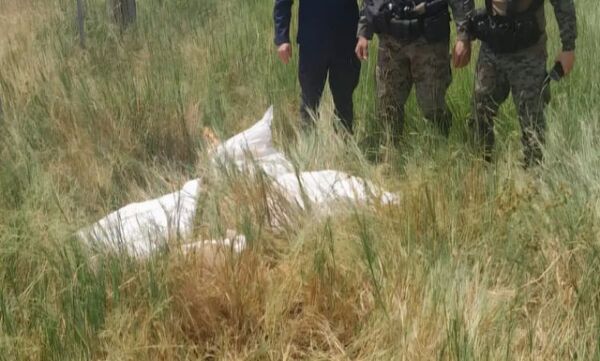 Policía recupera carne vacuna y detiene a un sospechoso de abigeato en Yby Yaú