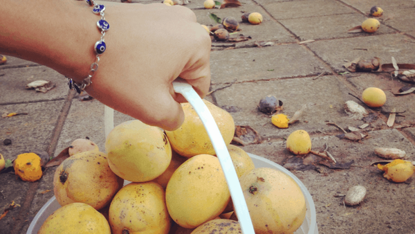 Atenti: Quedan solamente 15 días para conseguir el mango levantol