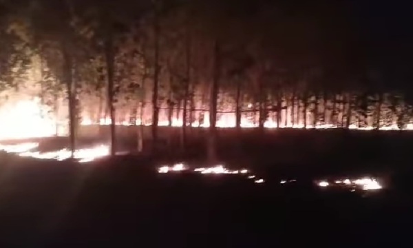 Incendios forestales de gran magnitud en Nueva Londres - OviedoPress