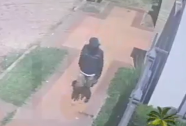 Robo en Luque: delincuente se lleva guitarra especial de una artista - SNT