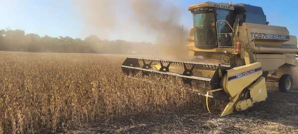 Alertan que falta de precipitaciones desata “preocupación generalizada” en el campo - Economía - ABC Color