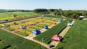 Sem Agro realizó con Éxito una nueva edición de su tradicional Día de Campo de Soja