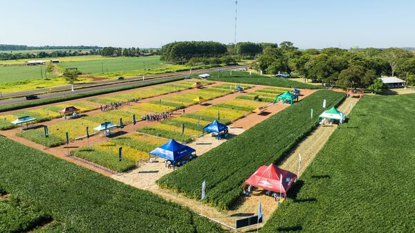 Sem Agro realizó con Éxito una nueva edición de su tradicional Día de Campo de Soja