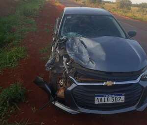 Animales sueltos causan accidente en Alto Paraná - ABC en el Este - ABC Color