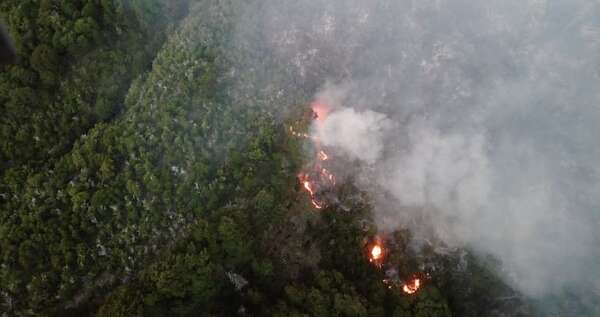 Más de 3.000 hectáreas fueron arrasadas por el fuego en un parque nacional de Argentina - Mundo - ABC Color