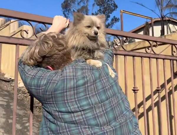 Emotivo reencuentro entre un hombre y su perro tras incendios en Los Ángeles - Mascotas - ABC Color