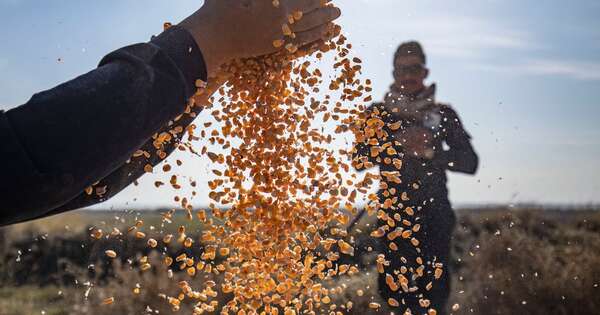 La Nación / Paraguay apuntala su desarrollo tecnológico en la agricultura, destacan