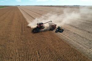 El USDA ajusta a la baja sus previsiones para la soja en EE.UU. y confirma estabilidad en Sudamérica | Agronegocios | 5Días