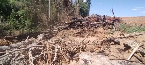 Grave denuncia por tala y quema intencional de bosque en San Cristóbal - La Clave