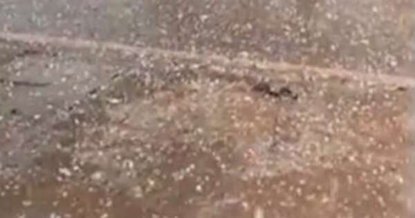 La Nación / Misiones reportó lluvias y granizos tras intenso calor