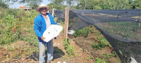 Misiones: temporal con granizada causó daños en cultivos de pequeños productores - Nacionales - ABC Color