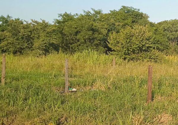 Desalojan espacio público invadido en el barrio San Luis