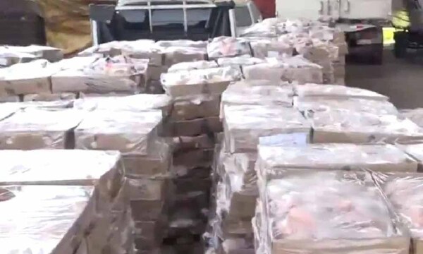 Incautados unos 15.000 kilos de pollo de contrabando que ingresaron desde el Brasil – Prensa 5